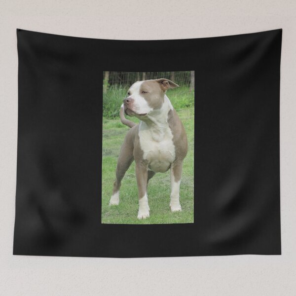 Item preview, 'PR' York's Buster designed and sold by Ginny York.