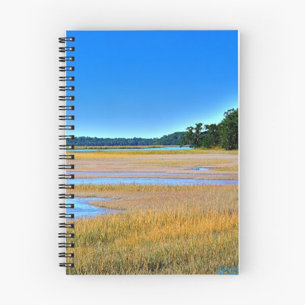 Item preview, South Carolina Lowcountry Hdr Vertical 2 designed and sold by LisaWootenPhoto.