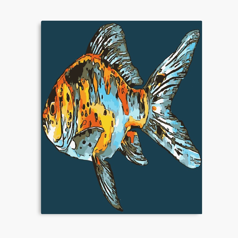 Impression Photo Poisson Rouge Shubunkin Bleu Et Orange Isole Par Taiche Redbubble