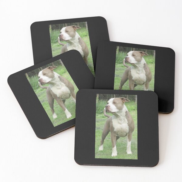 Item preview, 'PR' York's Buster designed and sold by Ginny York.