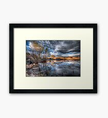 Hank the Picture Framed Print