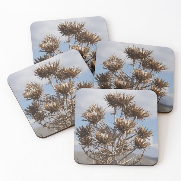 Item preview, moutain thorn galicica macdonia designed and sold by distracted.