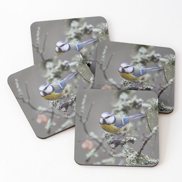 Item preview, Eurasian blue tit in November designed and sold by Jouko Lehto Photography.