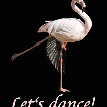 Vorschaubild zum Design Flamingo Let's dance von Katja LebenFreude
