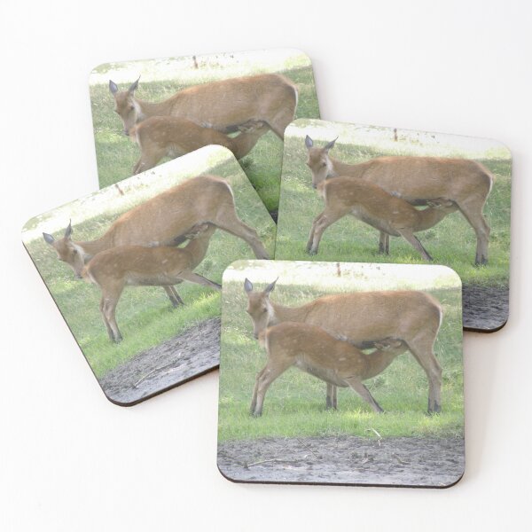 Item preview, Mother Red Deer Suckling her Fawn Photograph designed and sold by naturegallery.