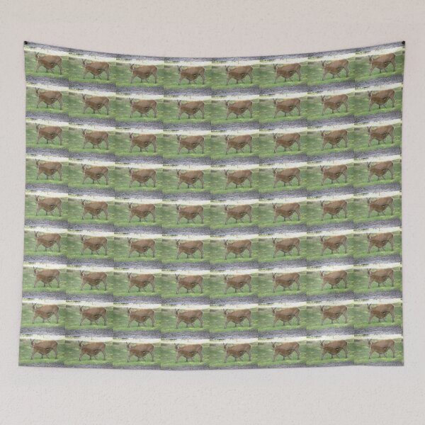 Item preview, Mother Red Deer Suckling her Fawn Photograph designed and sold by naturegallery.