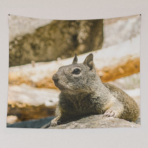Item preview, Yosemite croissants designed and sold by wolfgangrainer.