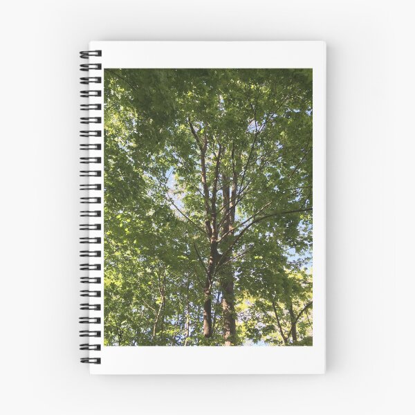 Item preview, Brighter designed and sold by VerticalVistas.
