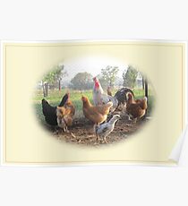 The Rooster and His Girls Poster