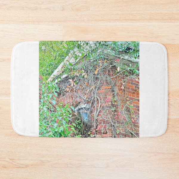 Item preview, Tabernacle Baptist Church Ruins Blackville Sc designed and sold by LisaWootenPhoto.