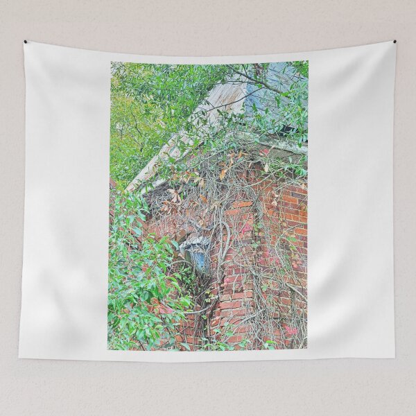 Item preview, Tabernacle Baptist Church Ruins Blackville Sc designed and sold by LisaWootenPhoto.