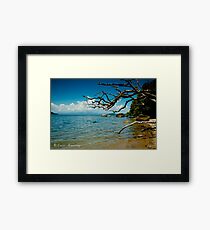 Dunk Island Framed Print