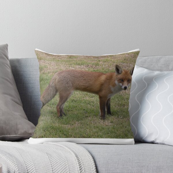Item preview, Cheeky Fox designed and sold by Withns.