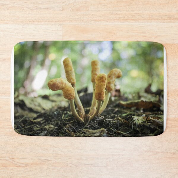 Item preview, Fictional Mycology: Peanut Flipling, Mushroom. designed and sold by Volker Schütz.