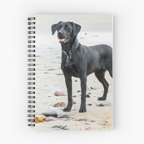 Item preview, Black Labrador dog on the beach designed and sold by HaleyRedshaw.
