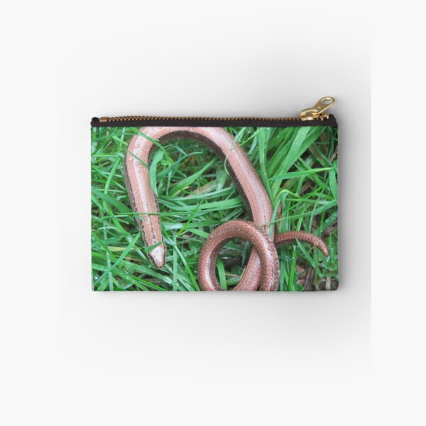Item preview, Slow Worm - Anguis fragilis designed and sold by lezvee.