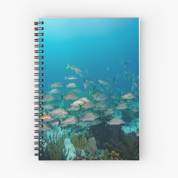 Item preview, School of Snapper on Shallow Coral Reef designed and sold by Caitlin Chock.