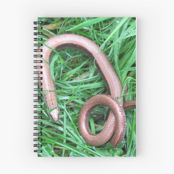 Item preview, Slow Worm - Anguis fragilis designed and sold by lezvee.
