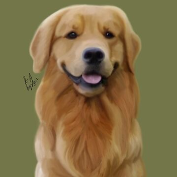 Artwork thumbnail, Golden boy by K-AEyston