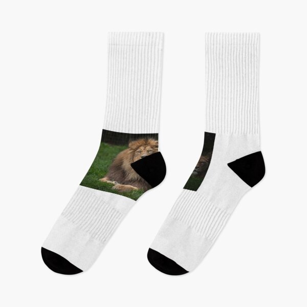 Item preview, Three Lions designed and sold by Nigel R Bell Photography.