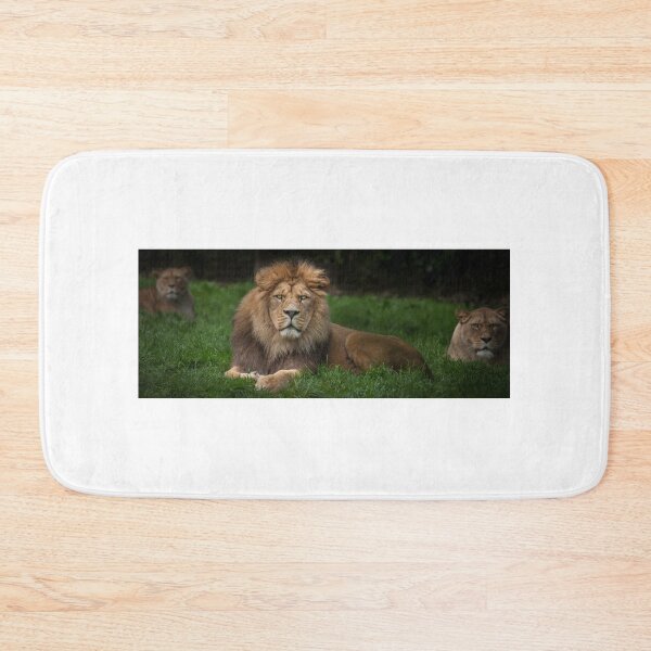 Item preview, Three Lions designed and sold by Nigel R Bell Photography.