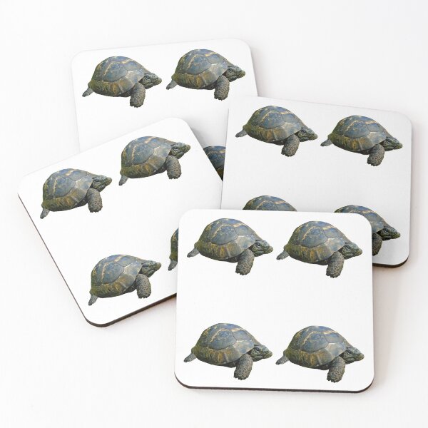 Item preview, Two Tortoise designed and sold by Royisaacs.