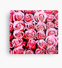 Pink Roses Metal Print