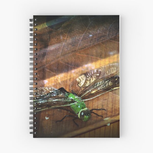 Item preview, Dragonfly Macro 4 designed and sold by Dawna Morton.