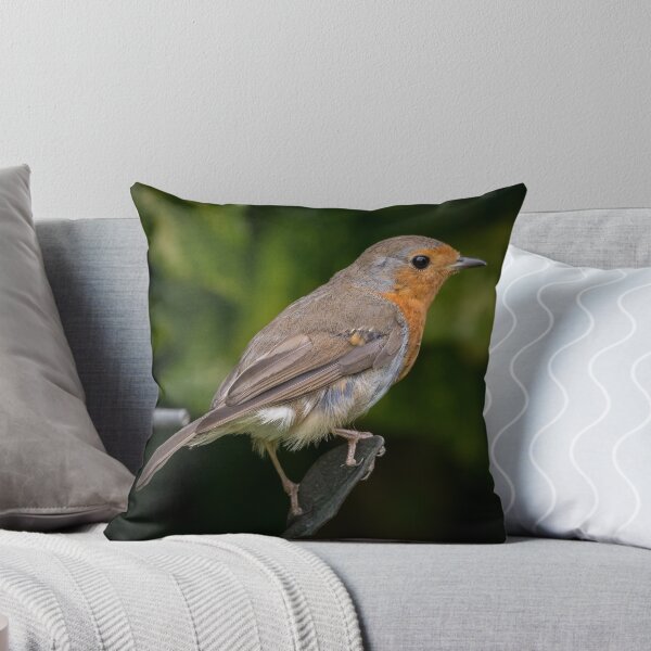 Item preview, Robin designed and sold by Adrian Rowley.