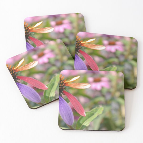 Item preview, Rainbow Petals designed and sold by cj-jones.