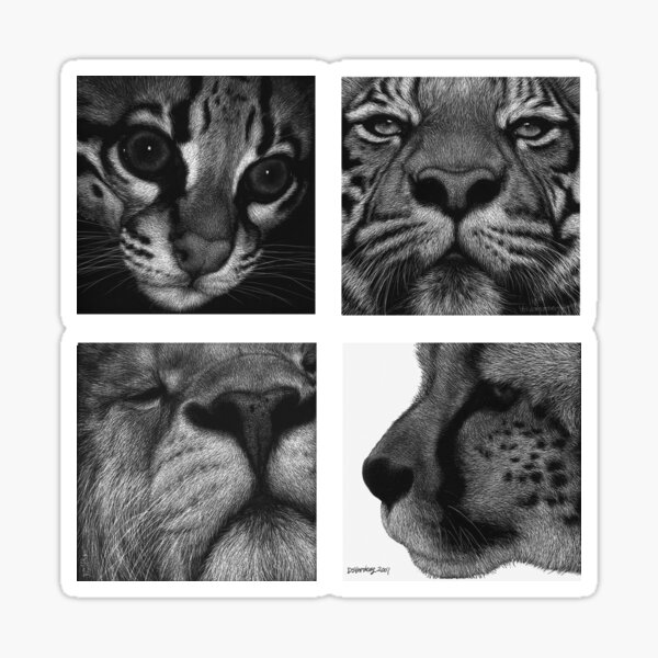 Wild cats - tiger, ocelot, cheetah, lion Sticker