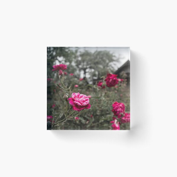 Texas Flower Acrylic Block