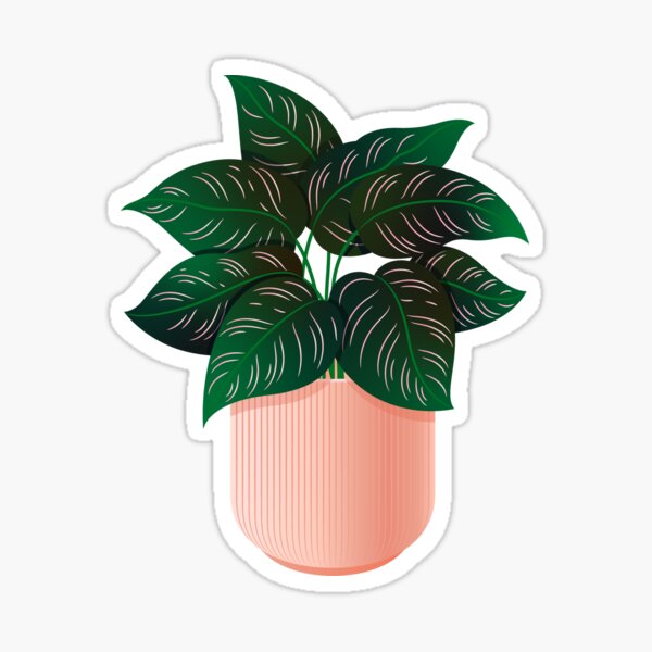 Plant Stickers for Sale