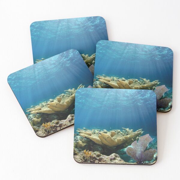 Item preview, Shallow Coral Reef  designed and sold by Caitlin Chock.