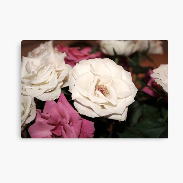Roses Canvas Print