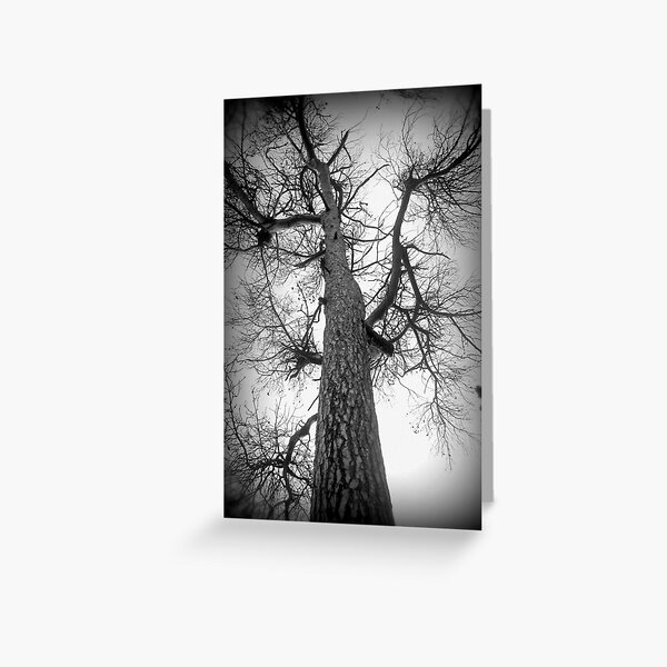 Higher Greeting Card