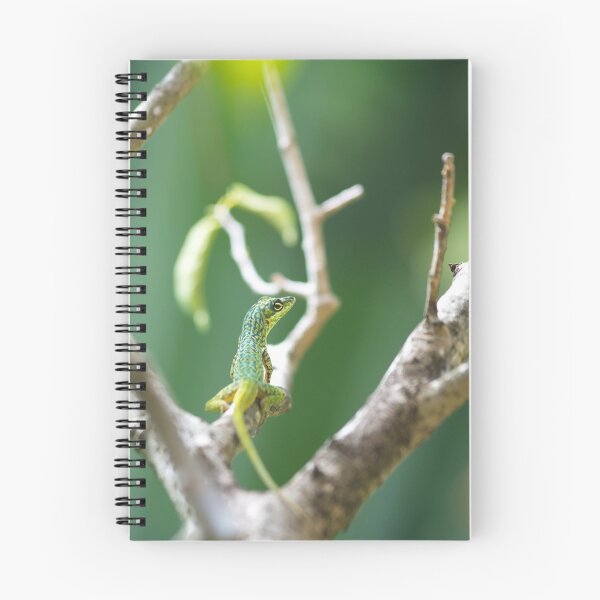 Item preview, Caribbean Lizard designed and sold by cinema4design.