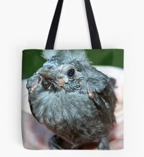 Fledgling Tote Bag