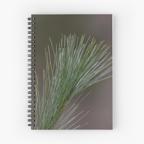 Item preview, Pine Needles designed and sold by suburbanwilds.