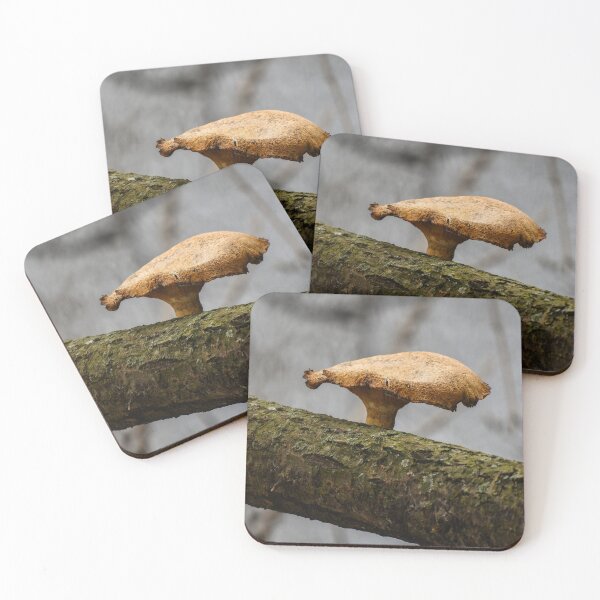 Item preview, Decaer designed and sold by suburbanwilds.