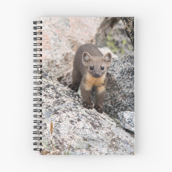 Item preview, Curious Marten designed and sold by Eivor Kuchta.