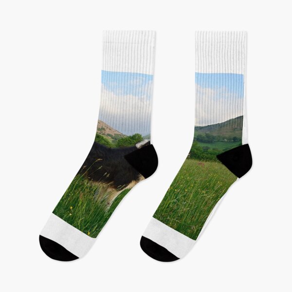 Item preview, Homecoming. designed and sold by Michael Haslam.
