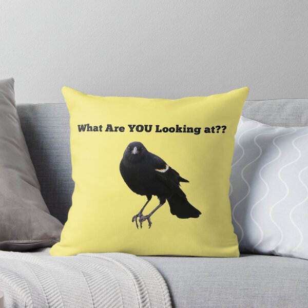 Item preview, Funny "What are You Looking At?" Blackbird designed and sold by GeographerDude.