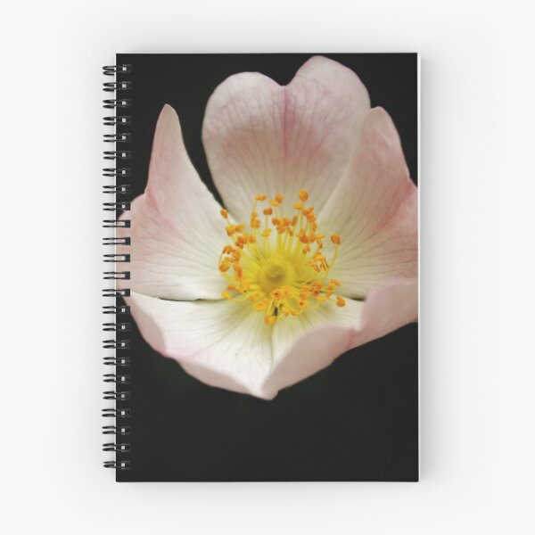 Item preview, Floating Rose designed and sold by MichelleRees.