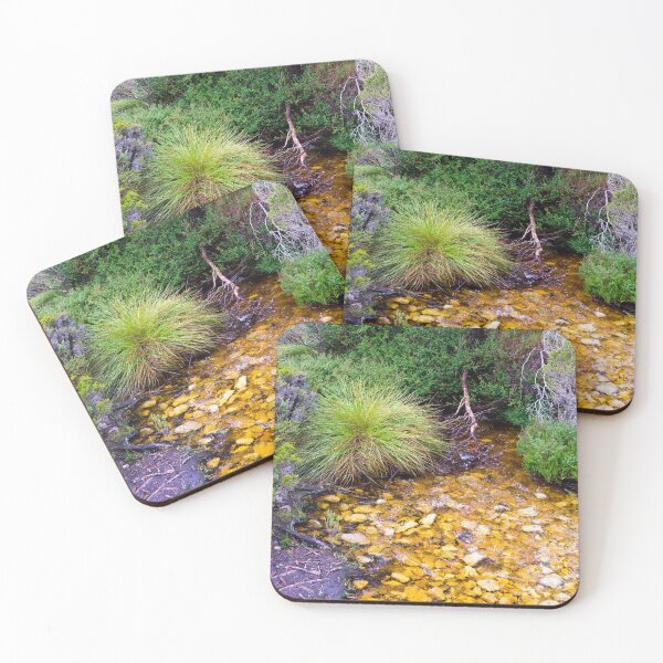 Item preview, A Golden Mountain Stream Flows Gently Against A Backdrop Of Greenery In Tasmania's Cradle Mountain National Park designed and sold by nickegglington.