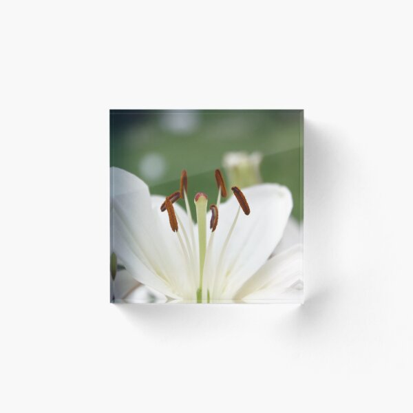 Item preview, Pure White Beauty designed and sold by MichelleRees.