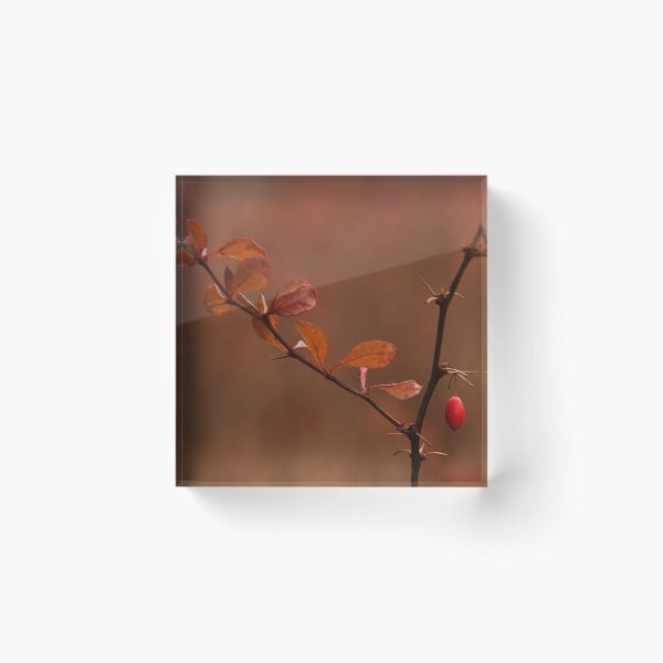 Item preview, Barberry designed and sold by Poete100.