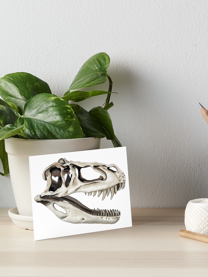 Torvosaurus Skull
