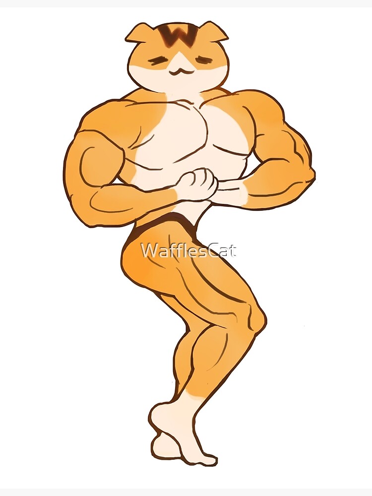 Carte De Vœux Chat Muscle Par Wafflescat Redbubble