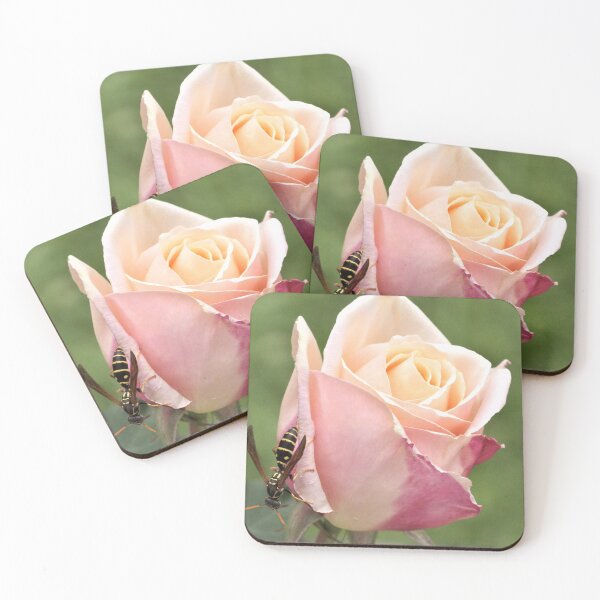 Item preview, THE WASP AND THE ROSE. designed and sold by Roy  Massicks.